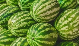 网红周40万吃瓜,一场视觉与味蕾的双重盛宴